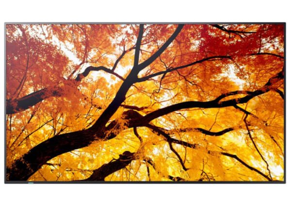 MultiSync? M752 75" Large Format Display