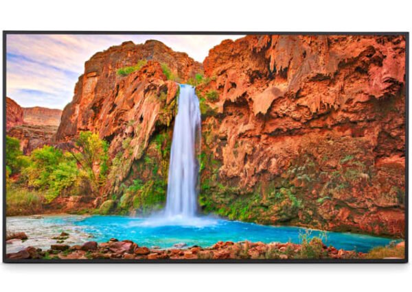 65" UHD Commercial Display